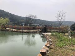 -龙寺生态园