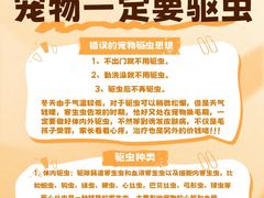 -康成宠物医院24H·CT·核磁共振