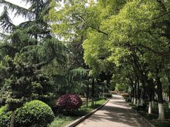 -后襄河公园