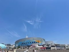 -海合安青岛极地海洋公园