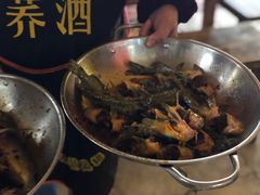 -金海椒罐罐鲢鱼(东方桂苑店)