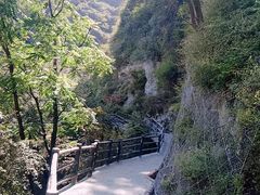 -少华山国家森林公园