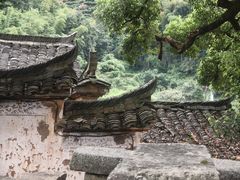 -杨家堂村