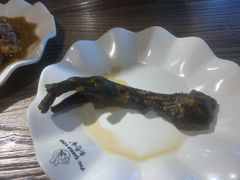 -老号尤兔头(幸福店)