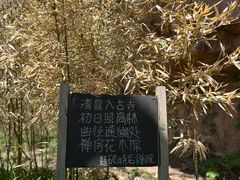 -云峰山自然风景区