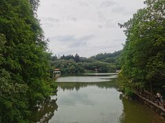 -深圳仙湖植物园