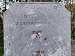 -白草畔自然风景区