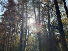 -上海海湾国家森林公园