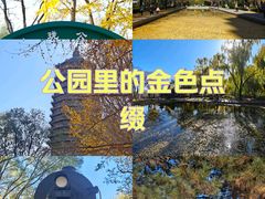 -玲珑塔公园