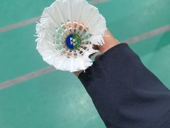 -临港奉贤体育中心