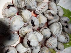 -高佳庄·海鲜酒楼(东港店)