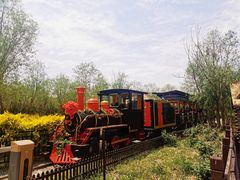 -西青郊野公园