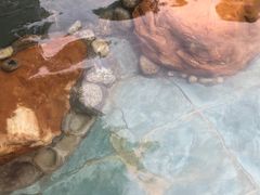 -崇阳三特浪口温泉