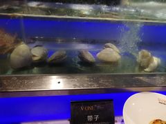 -V-ONE西雅图海鲜自助餐厅(仓山万达广场店)
