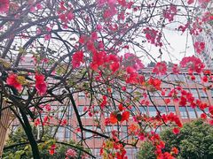 -东风公园