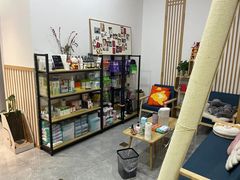 -山宅一喵德文卷毛猫舍