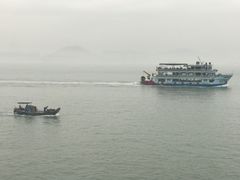 -演武大桥观景平台