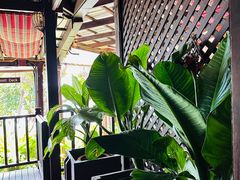 -卷心菜和避孕套餐厅(Pattaya)