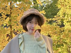 -三里屯东五街银杏大道