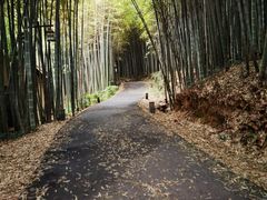 -苏州环秀晓筑养生度假村
