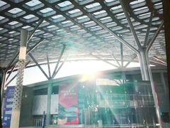 -邓肯舞蹈教育(深圳湾教学中心)
