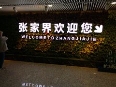 -张家界荷花国际机场