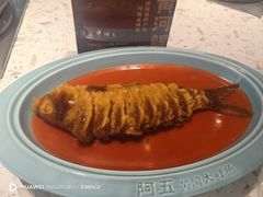 -阿五黄河大鲤鱼(英协路店)