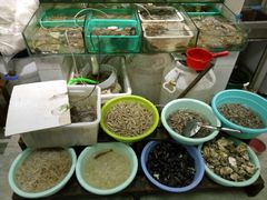 -胖子饺子馆·海鲜家常菜(海军博物馆店)