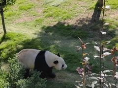 -西霞口神雕山野生动物世界