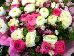 -静岸花卉园艺(三星坊店)