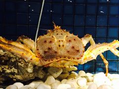 -官也街澳门火锅(新源里店)