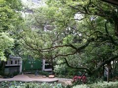 -香港大学