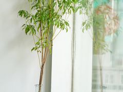 -左悦·艾灸调理·推拿按摩·精油SPA(卓悦汇店)