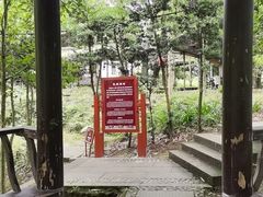 -凤栖山