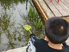 -同銮特种养殖场·龙虾垂钓