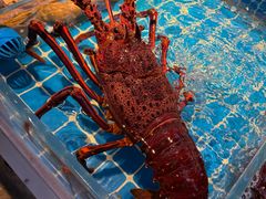-阿忠食坊大排档·20年老店(万象城店)