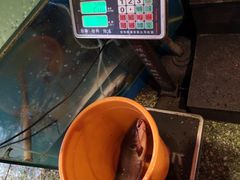 -粗粮人家·东北菜(洋桥店)