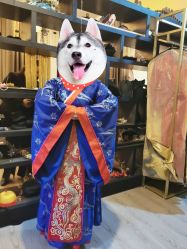 -盘子女人坊古装写真摄影(天津总店)