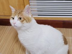 -宠福鑫动物医院(望京分院)