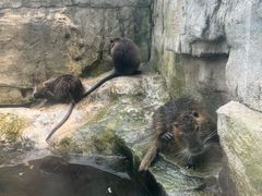 -广州长隆飞鸟乐园