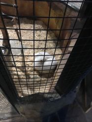 -酷嗒动物文化乐园(cutezoo西溪乐天城店)