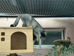 -青藏高原野生动物园