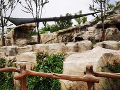 -武汉动物园