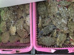 -众味海鲜大排档·活海鲜·潮汕味(南澳店)