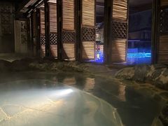 -春晖园度假酒店温泉