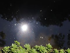 -炊烟餐厅