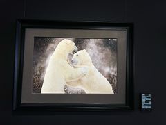 -罗红摄影艺术馆