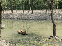 -溱湖国家湿地公园