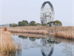 -苏州太湖湖滨国家湿地公园