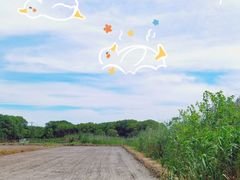 -广富林郊野公园